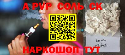 индика Сланцы