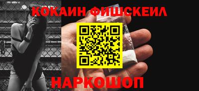 индика Сланцы