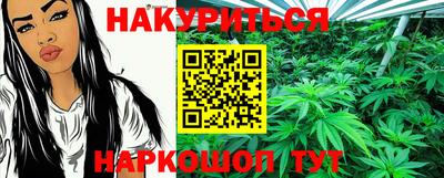 индика Сланцы