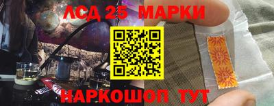 индика Сланцы