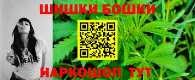 индика Сланцы