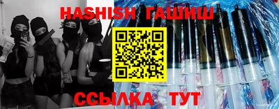 индика Сланцы