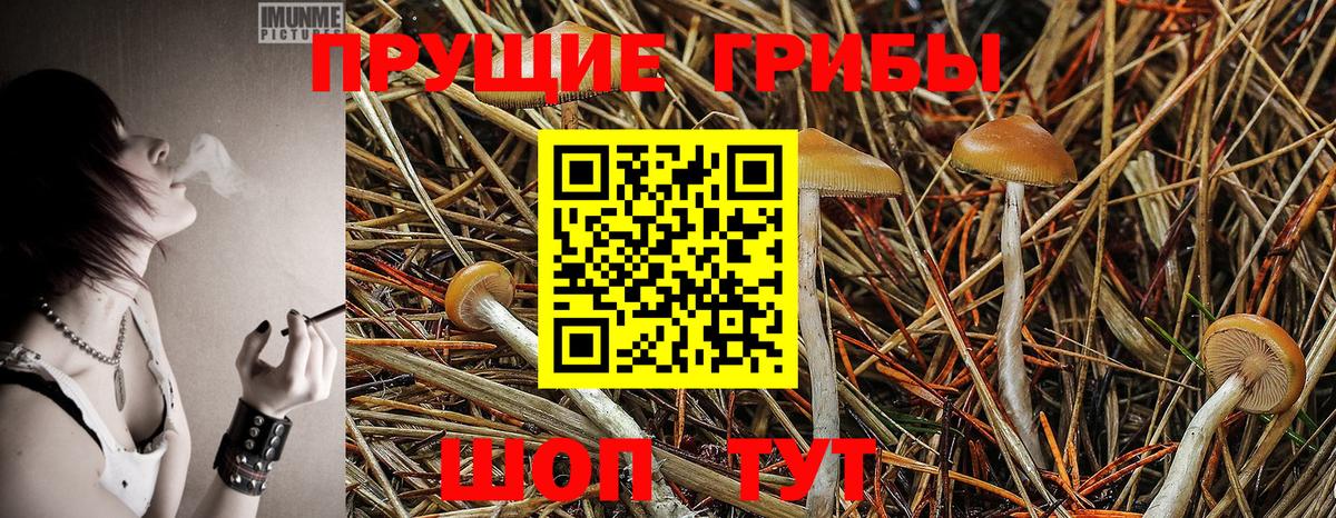 Нефтекумск  Галлюциногенные грибы ЛСД  Вход с VPN 